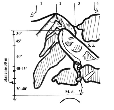 42001zi4.jpg (37274 bytes)