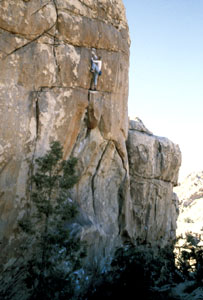 John s�luje cestu Leave it to Beaver v&nbsp;Joshoa Tree. 