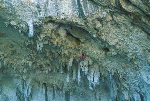 52000ar3.jpg (16266 bytes)