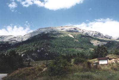 52000ce1.jpg (15328 bytes)