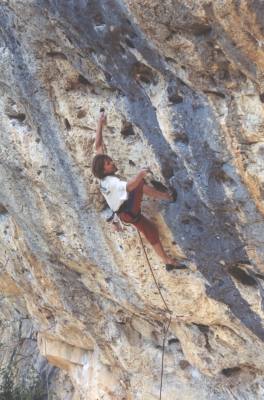 52000ce2.jpg (23304 bytes)