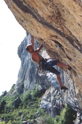 52000ce3.jpg (22006 bytes)