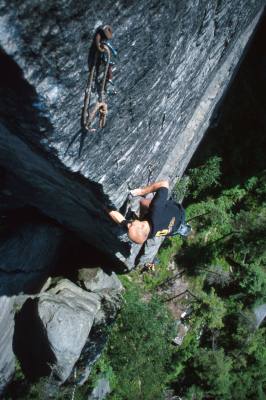 52000cs1.jpg (23744 bytes)