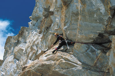 52001og1.jpg (44848 bytes)