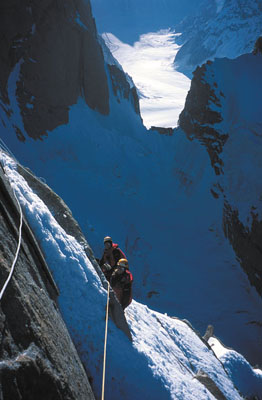 52001og5.jpg (33992 bytes)