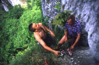 61999pe2.jpg (19225 bytes)