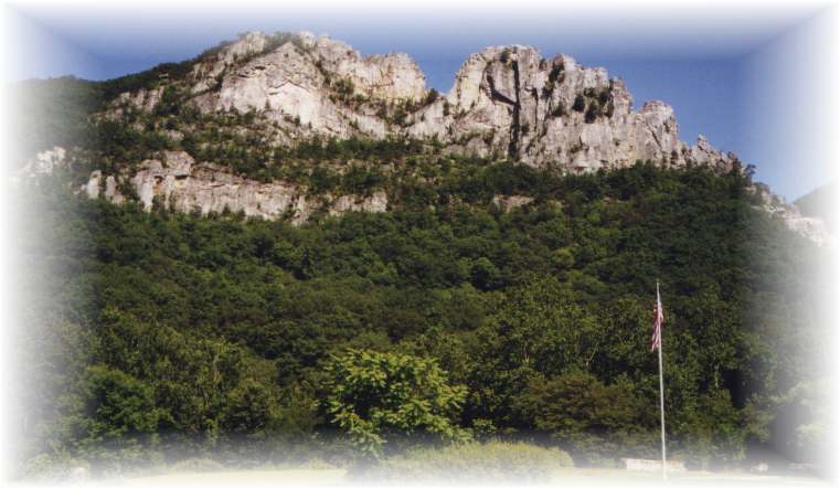 61999wa1.jpg (44954 bytes)