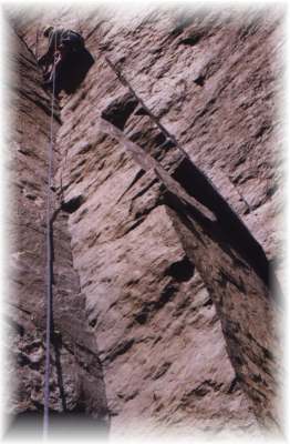 61999wa2.jpg (19325 bytes)