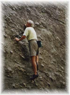 61999wa3.jpg (19160 bytes)