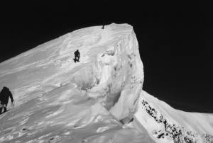 62000al1.jpg (7557 bytes)