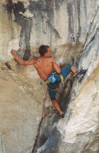 62000pa2.jpg (21784 bytes)