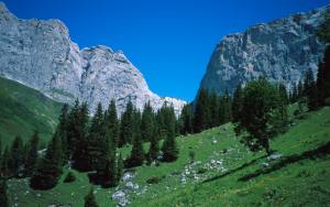 62000ra1.jpg (11659 bytes)