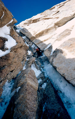 62001al1.jpg (44305 bytes)