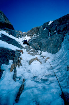 62001al5.jpg (38916 bytes)