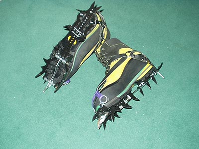 Ma�ky Pitbull Cup Simond.