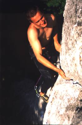 intpall2.jpg (14910 bytes)