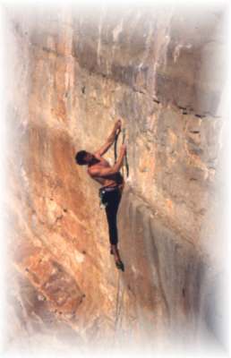 j499pia1.jpg (12197 bytes)