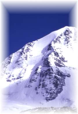 j499prv1.jpg (12634 bytes)