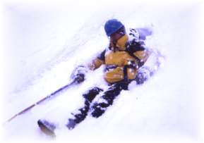 j499prv2.jpg (5832 bytes)