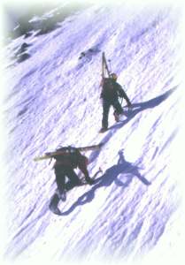 j499prv3.jpg (10639 bytes)