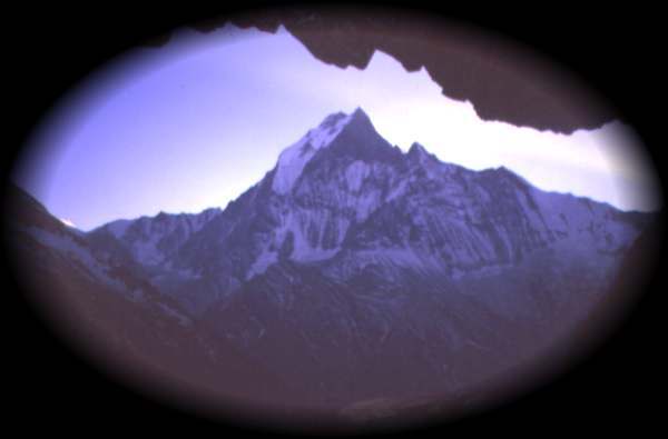 j499sin1.jpg (13286 bytes)