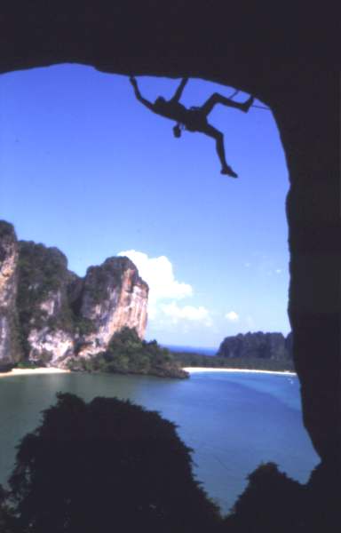 j499tha5.jpg (14398 bytes)