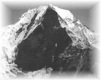 j599zen1.jpg (16145 bytes)