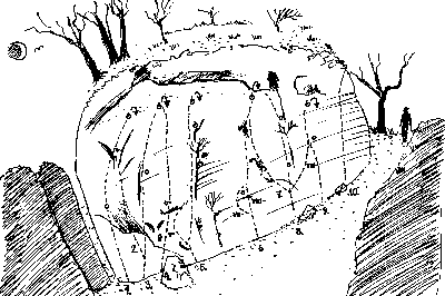 cierna1i.gif (8074 bytes)