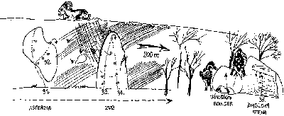 cierna4i.gif (4187 bytes)